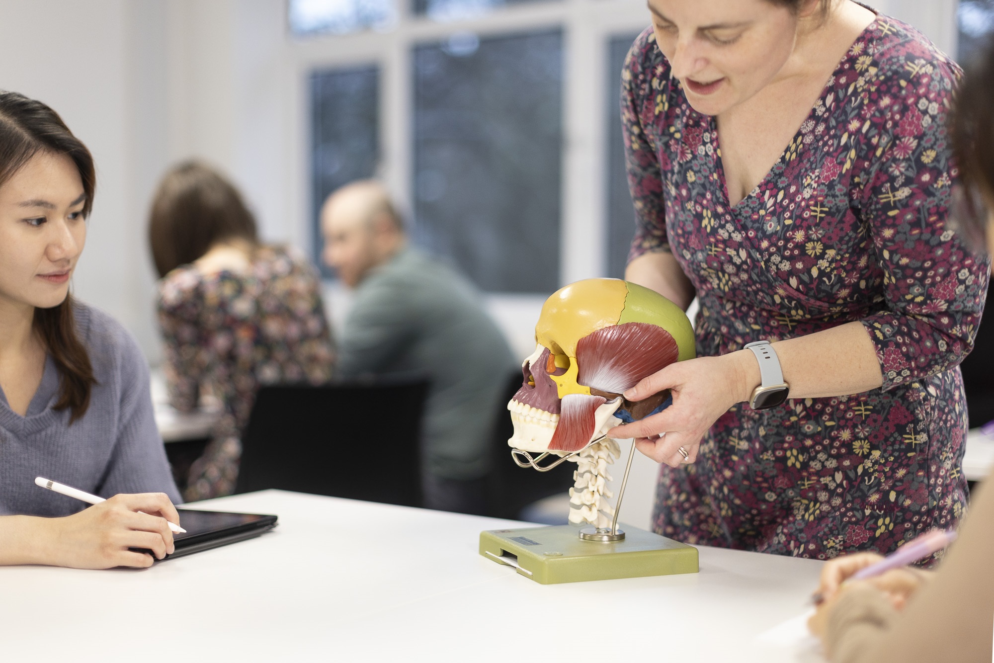 student looks at a model