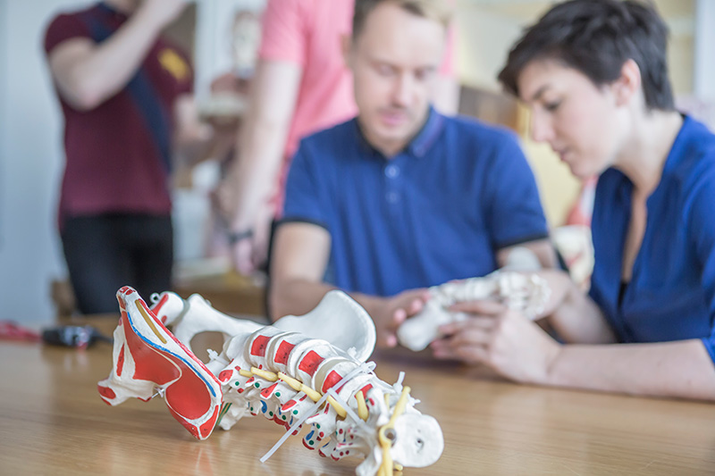 A prop skeleton with muscle sits on a table with people behind it.